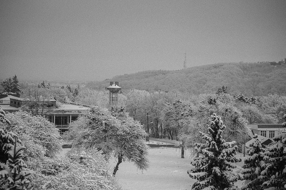 Photograph by Елена Шахова