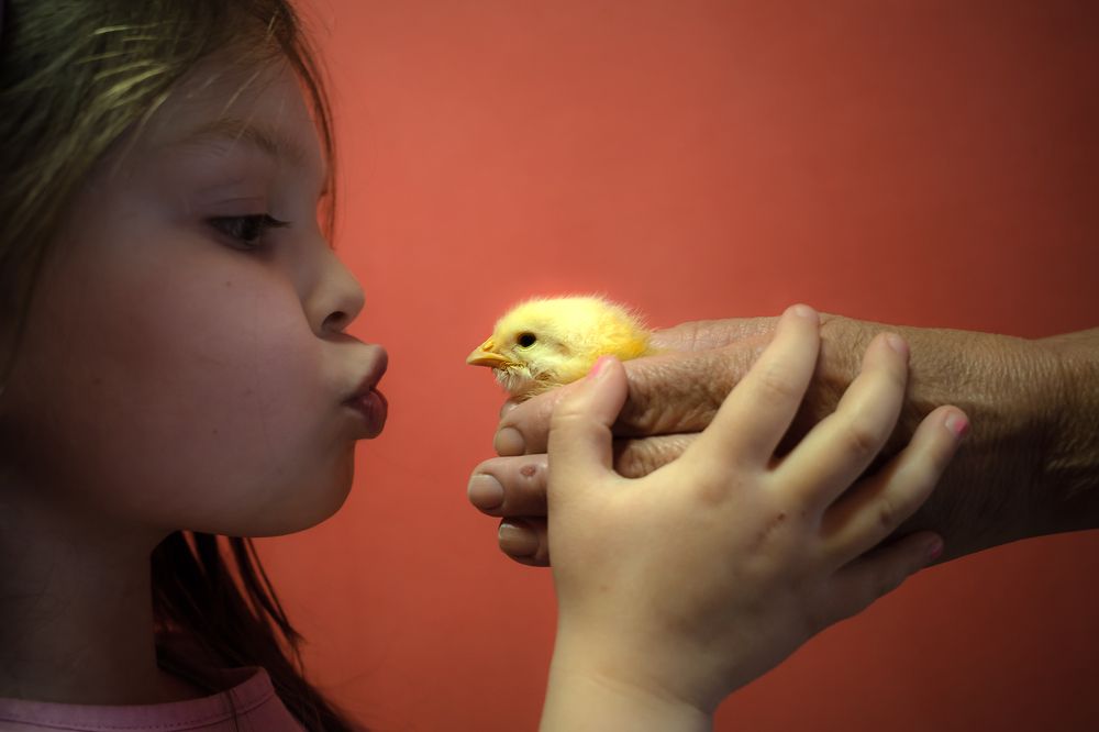 Photograph by Paolo Mangoni