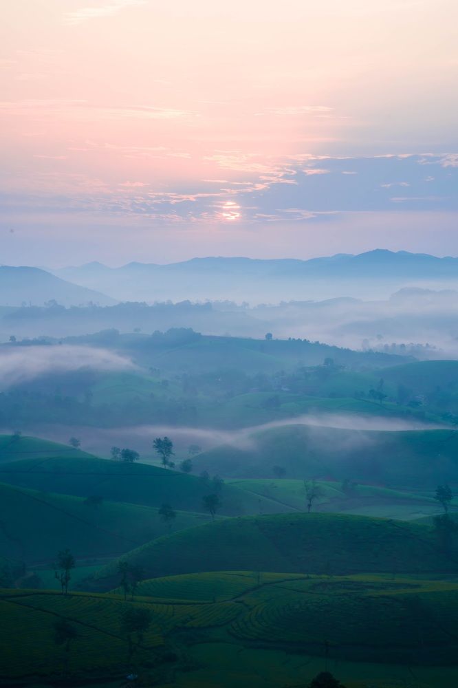 Photograph by Minh Lee