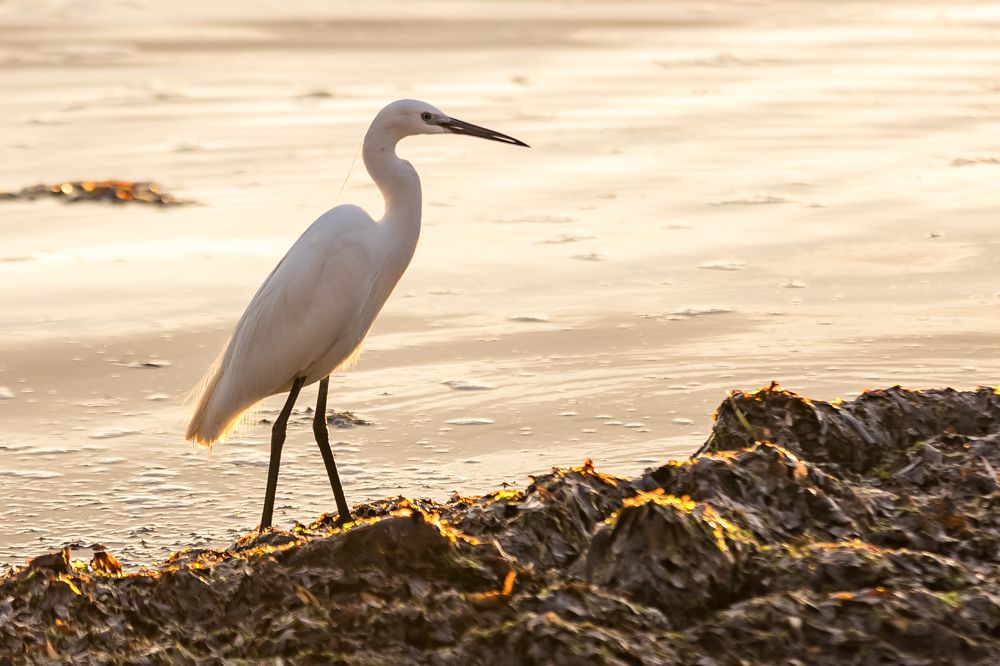 Photograph by Юлия Шурандина