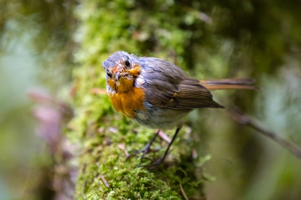 Photograph by Юлия Шурандина