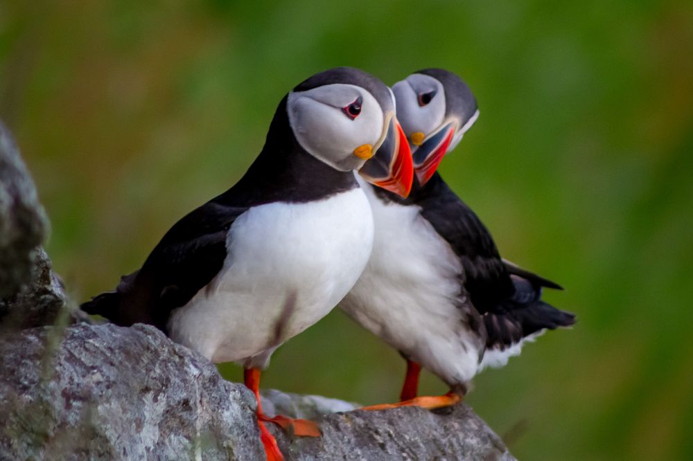 Photograph by Юлия Шурандина