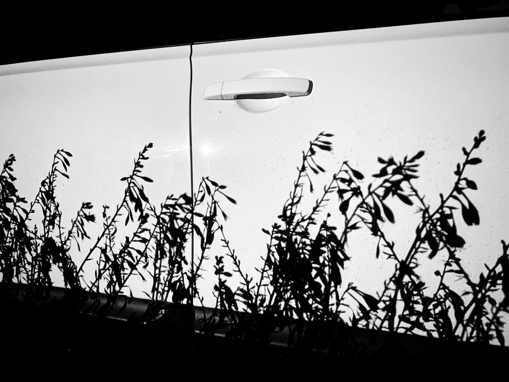 Photograph by Александр Максимов