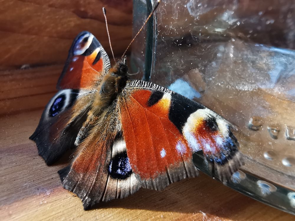 Photograph by Людмила Орловская