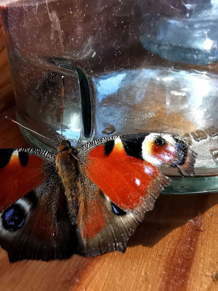 Photograph by Людмила Орловская