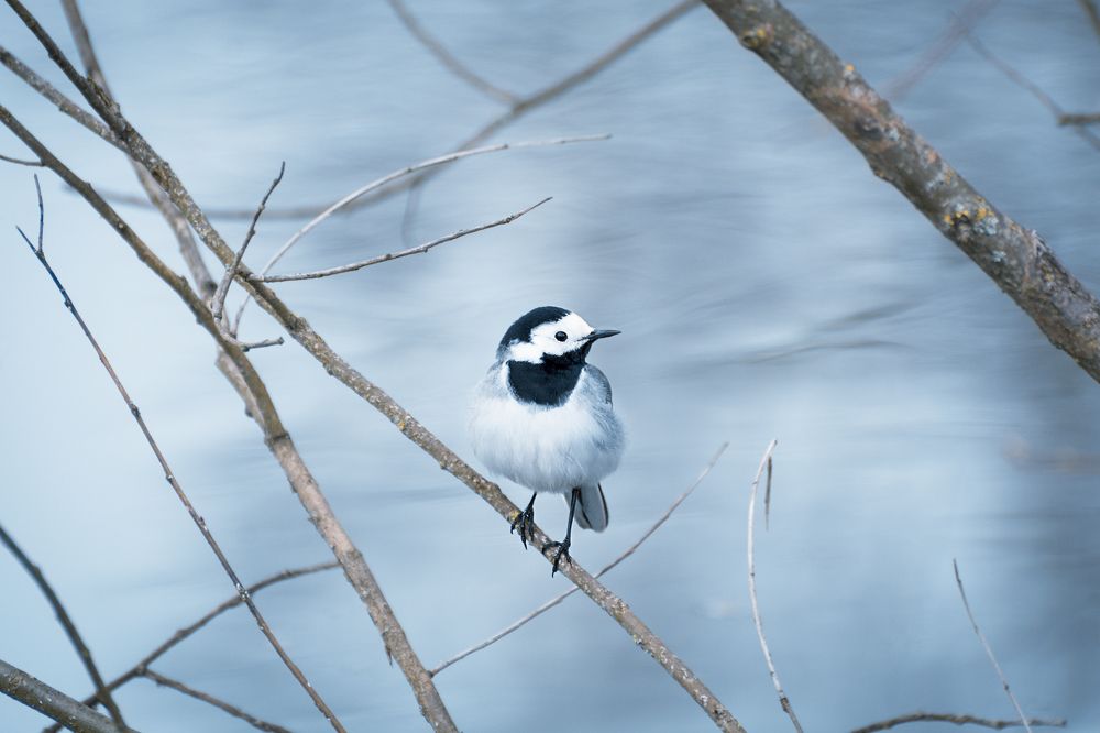 Photograph by Виктор Степанов