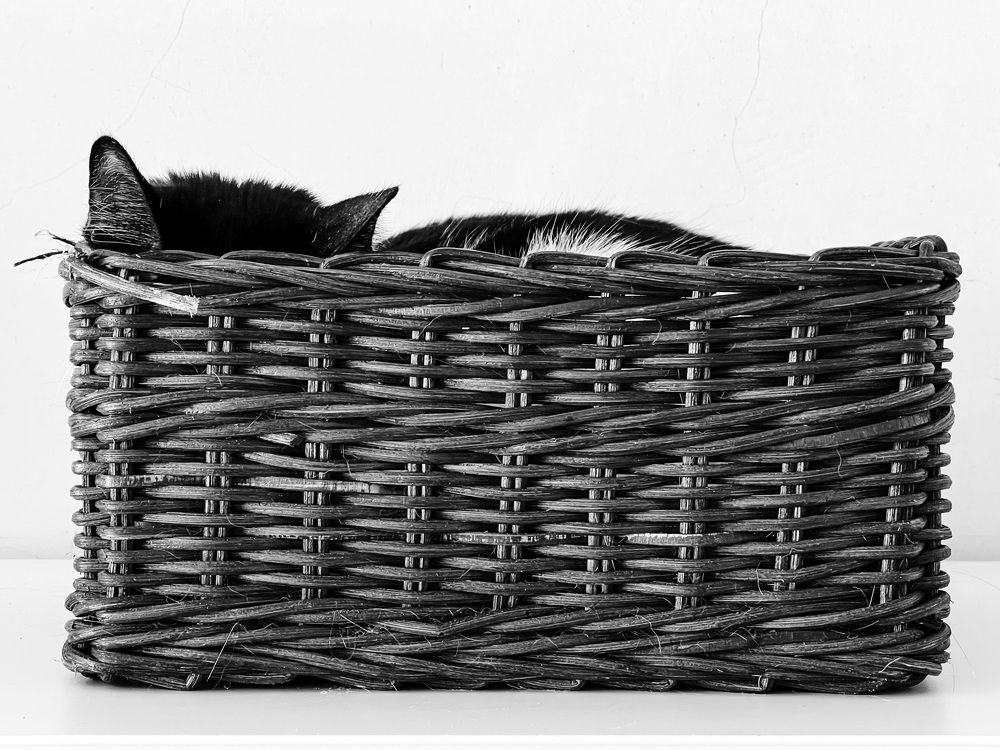 Photograph by Александр Максимов