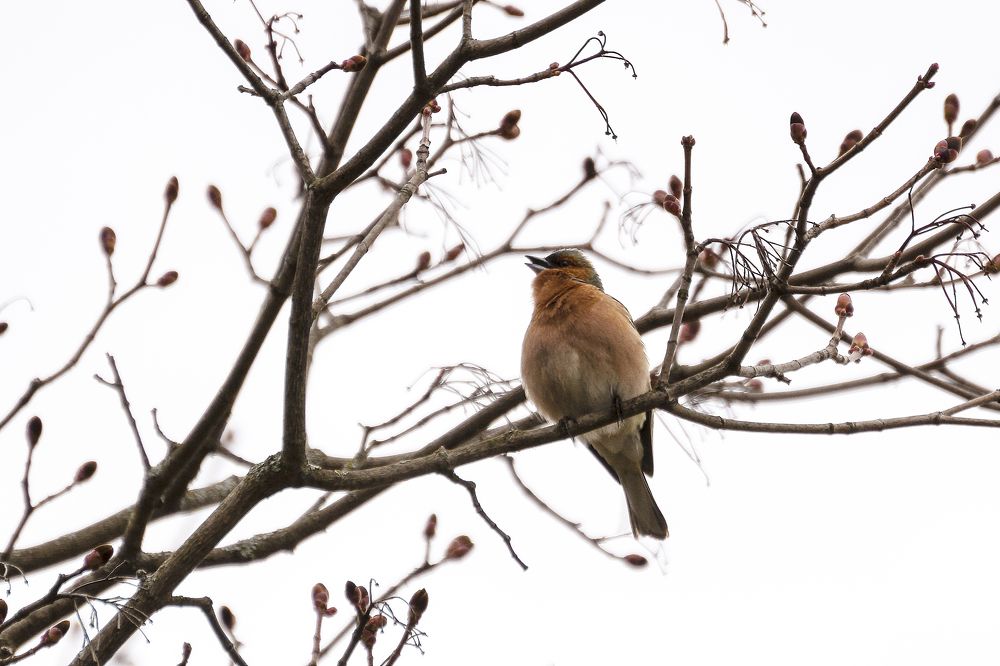 Photograph by Виктор Степанов
