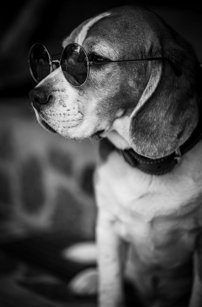 Photograph by Юлия Шурандина