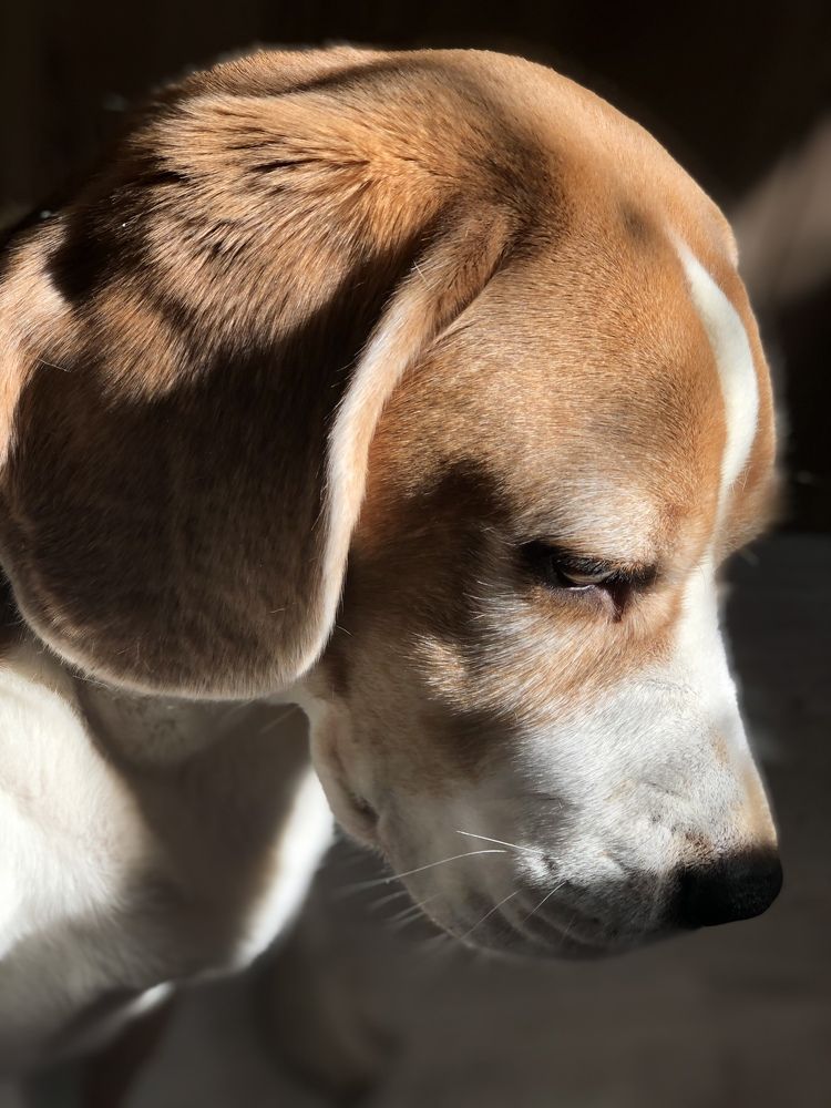 Photograph by Юлия Шурандина