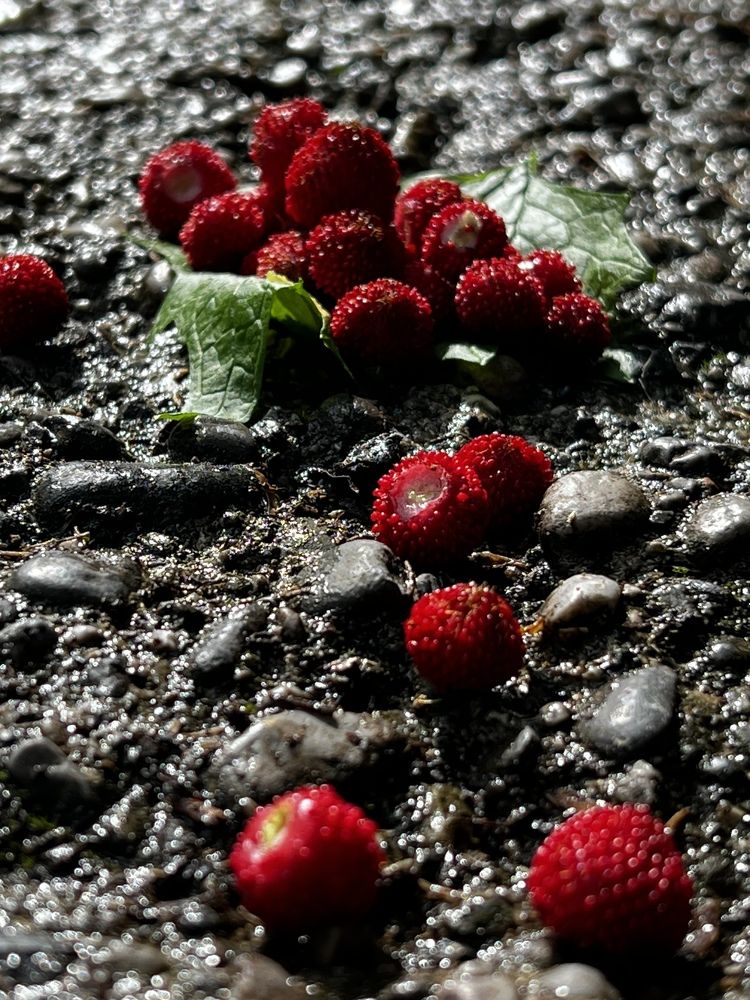 Photograph by Ольга Черепанова