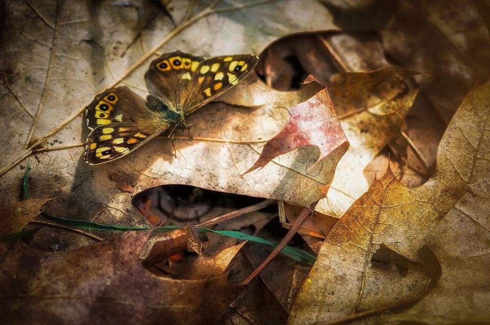 Photograph by Юрий Яковлевич