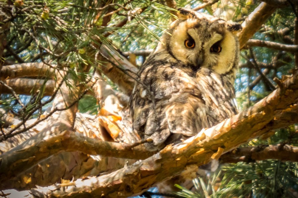 Photograph by Юрий Яковлевич