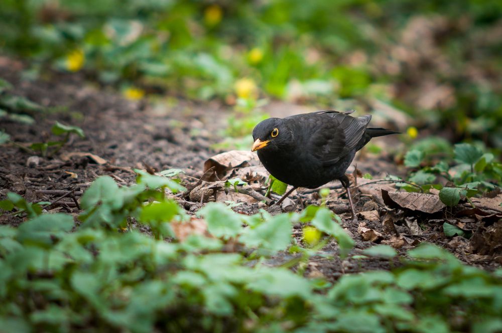 Photograph by Юрий Яковлевич