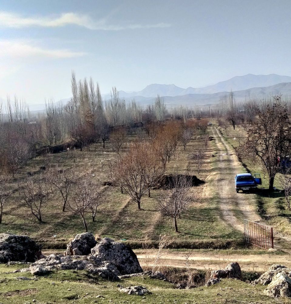 Photograph by masoud baghbani