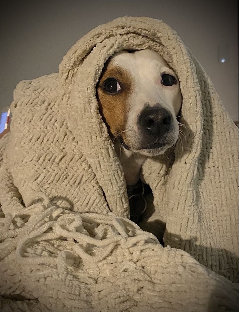 Фотография автора Mino Swayne