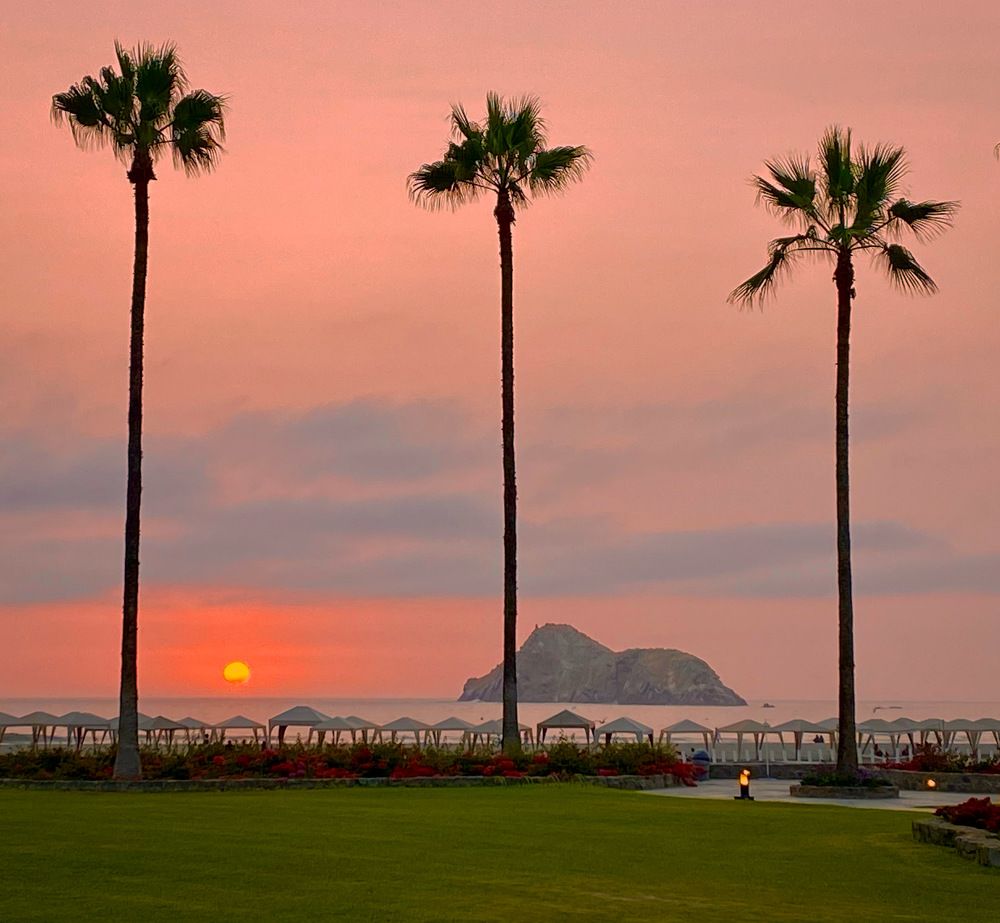 Фотография автора Mino Swayne