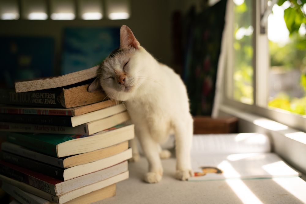 Photograph by Hoai Anh Dang