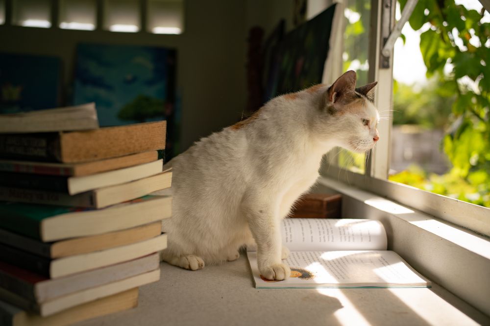 Photograph by Hoai Anh Dang