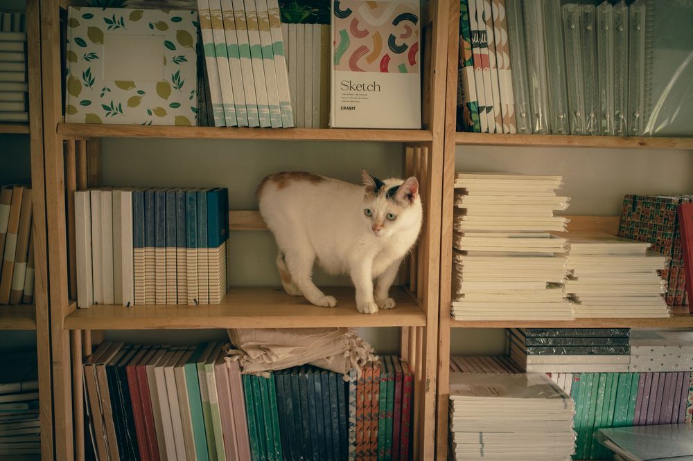 Photograph by Hoai Anh Dang