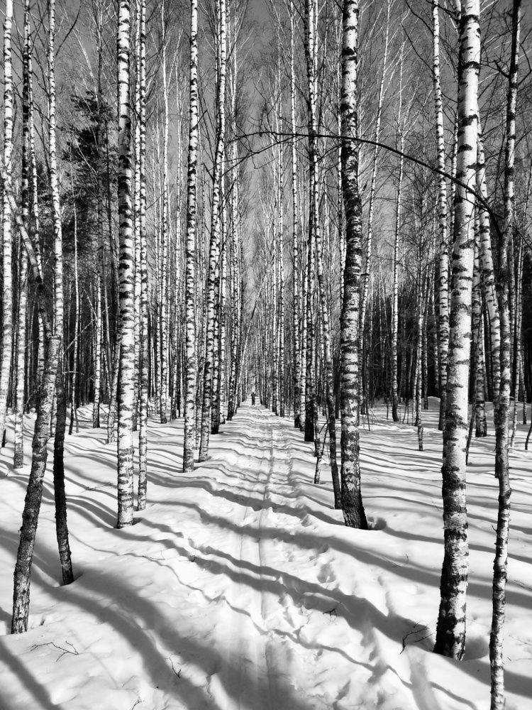 Photograph by Ольга Мартьянова