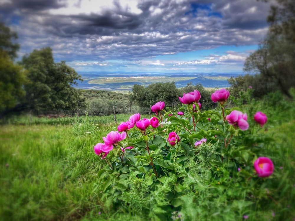 Photograph by Félix Sanchez