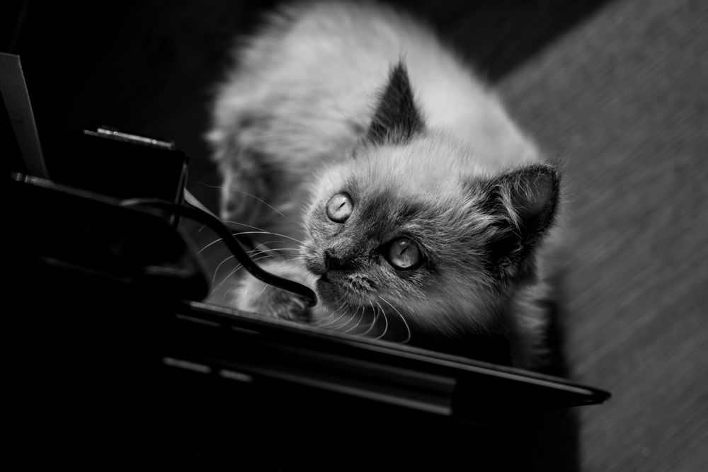 Photograph by Misha Drapak