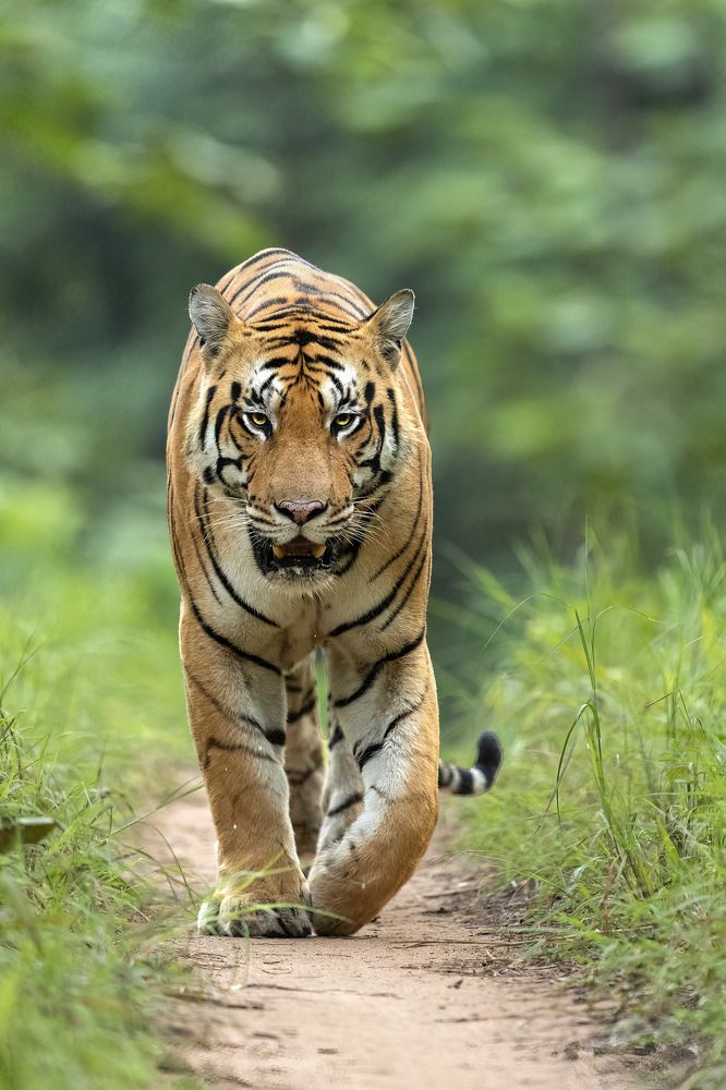 Photograph by Jitender Govindani