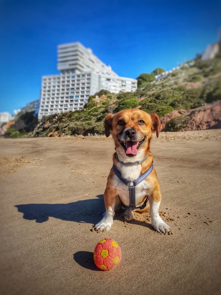 Photograph by Félix Sanchez