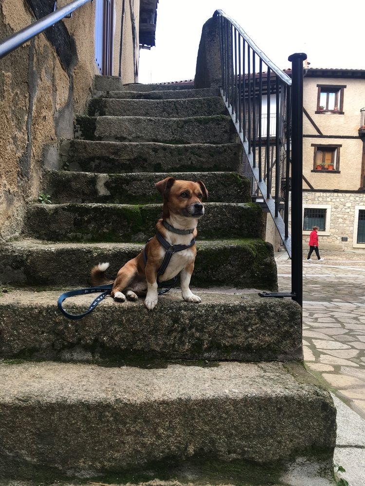 Photograph by Félix Sanchez