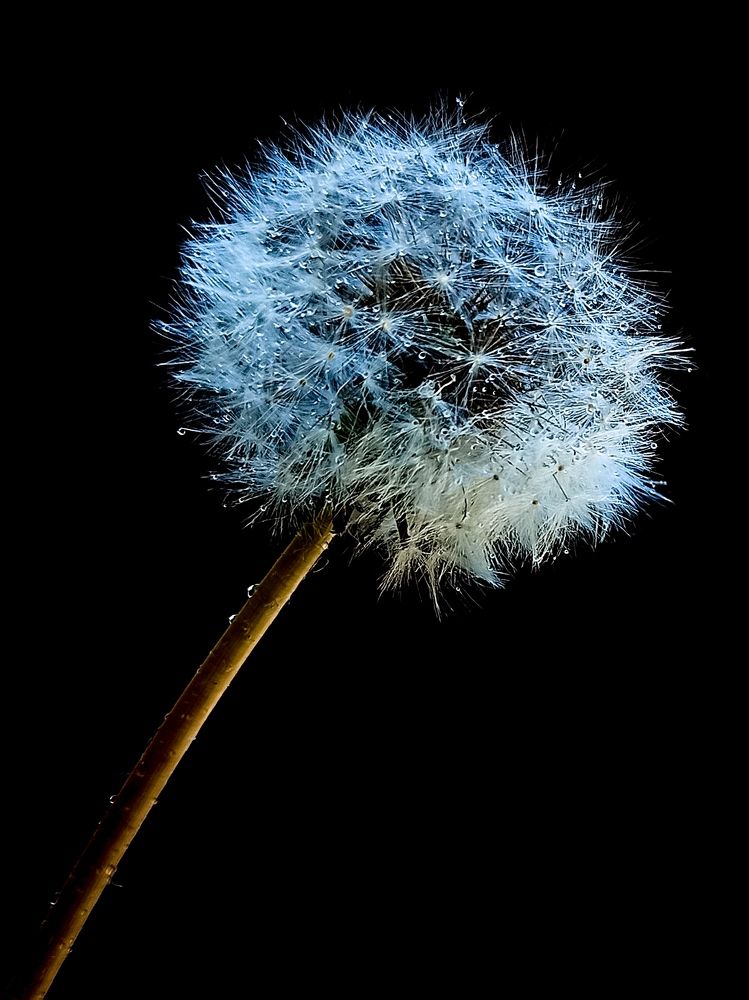 Photograph by Ирина Дегтярева