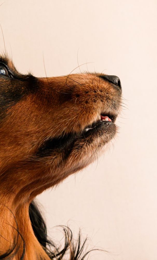 Photograph by Анна