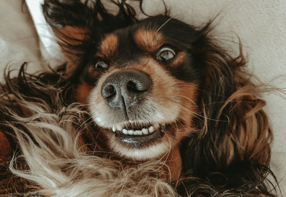 Photograph by Анна