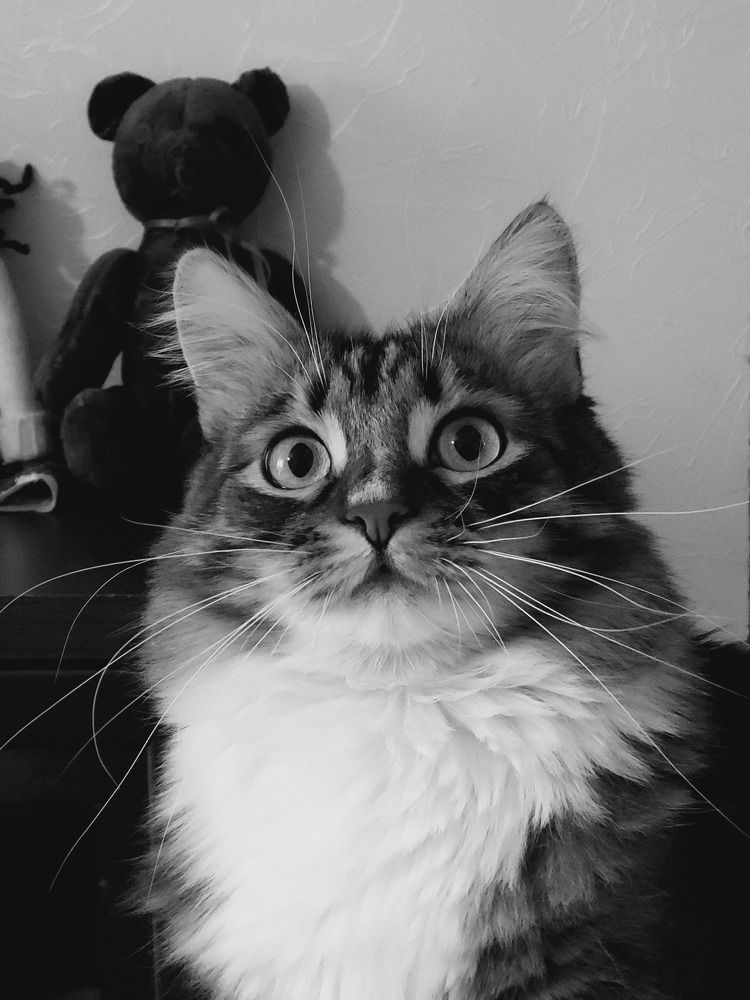 Photograph by Анна