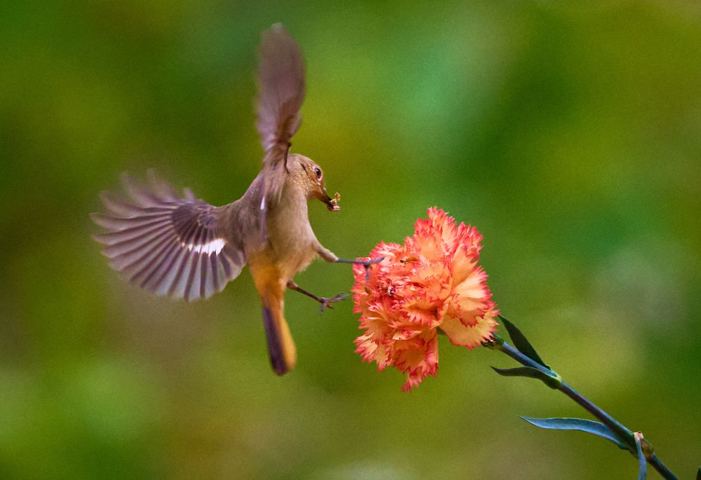 Фотография автора Maurice Leung