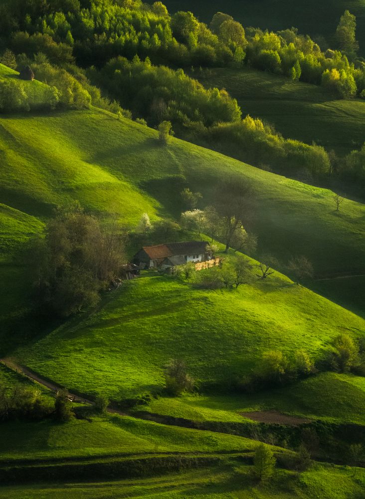 Photograph by Ana-Maria Tatarus