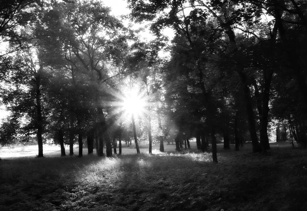 Лучики света