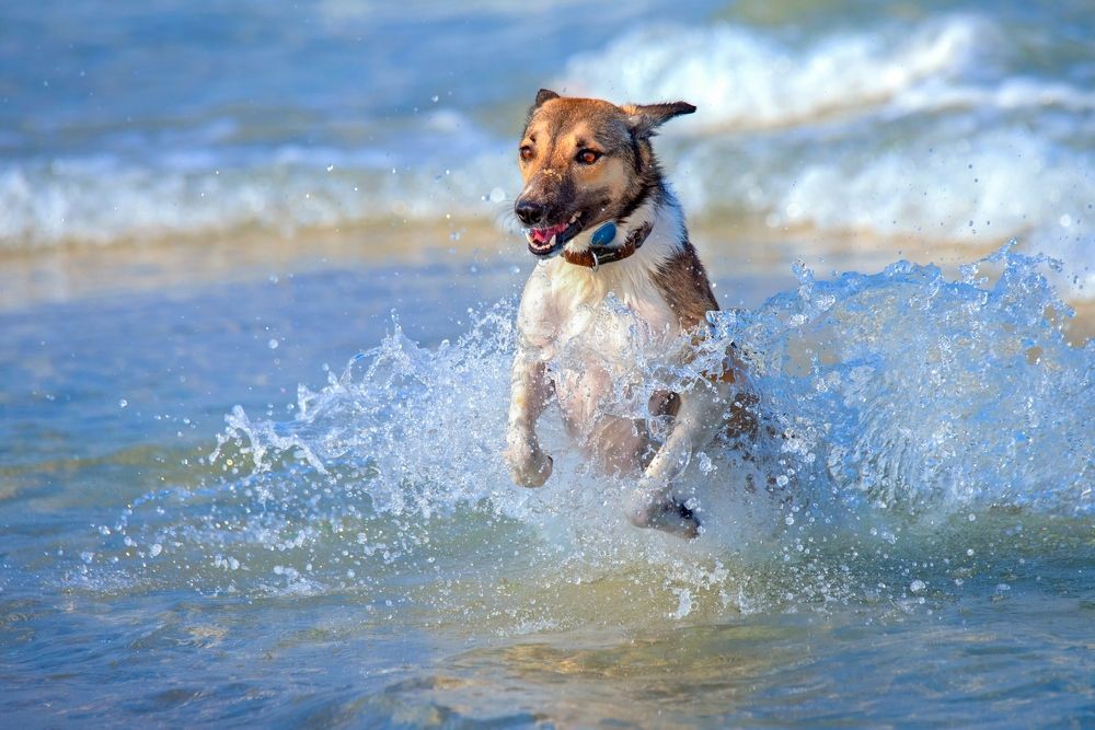 Photograph by Людмила Бекман