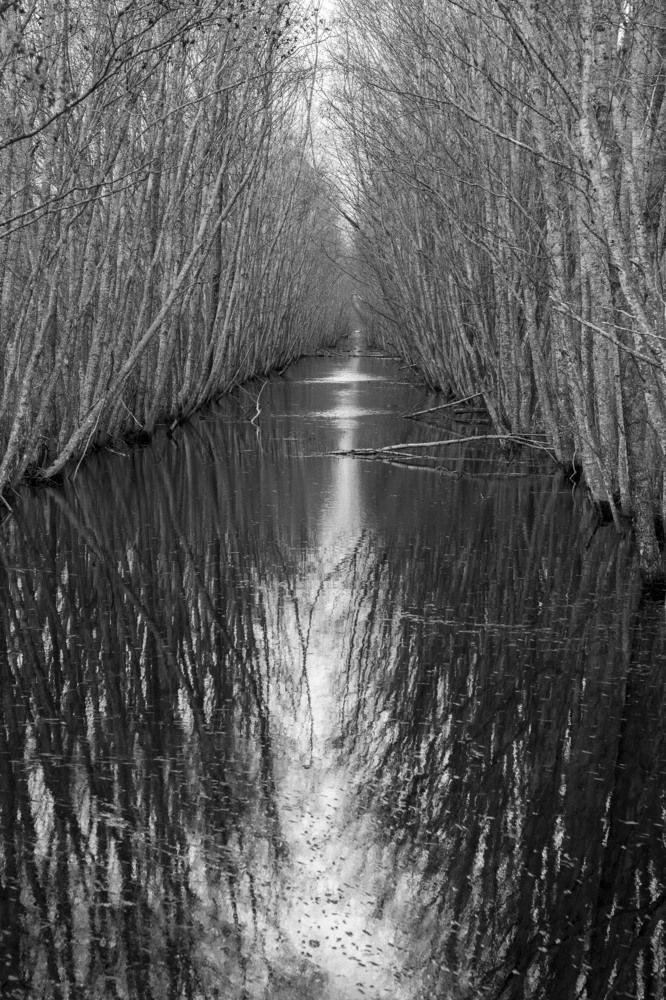 Фотография автора Ольга Никанович