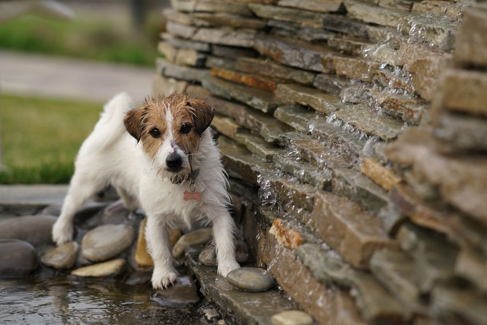 Photograph by Ольга Рачилова