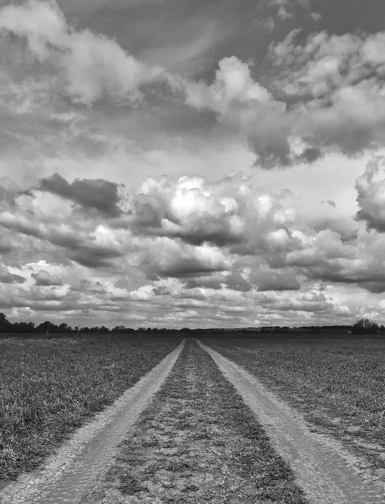 Photograph by Михаил Некрасов