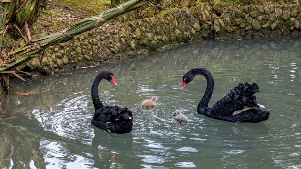 Photograph by Евгений Кучеренко