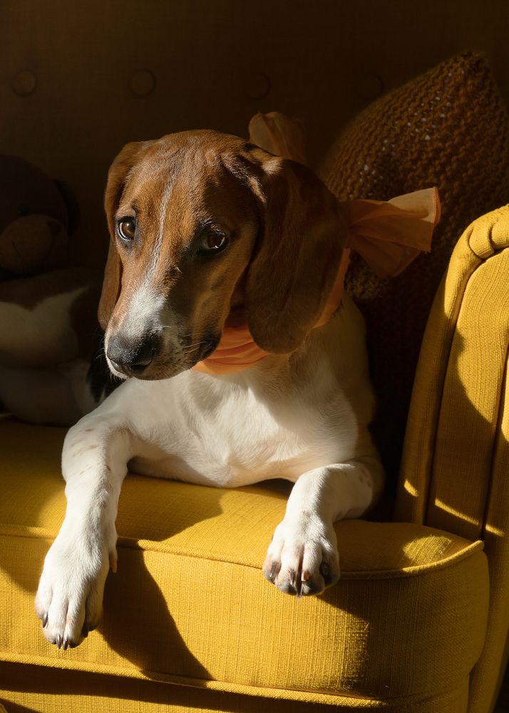 Photograph by Виктория Козинец