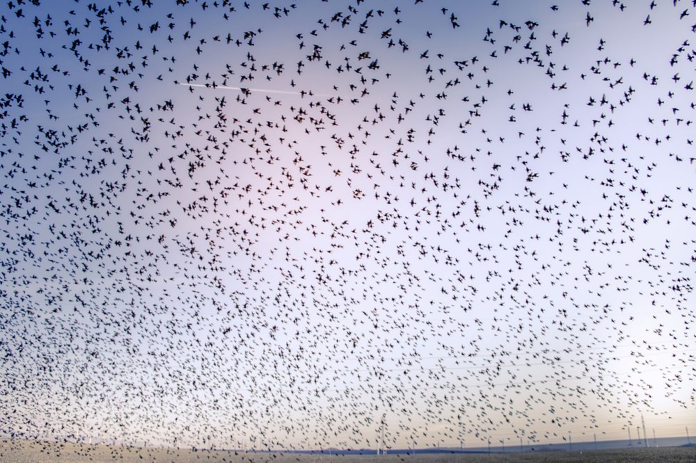 Photograph by Stoyo Stoev