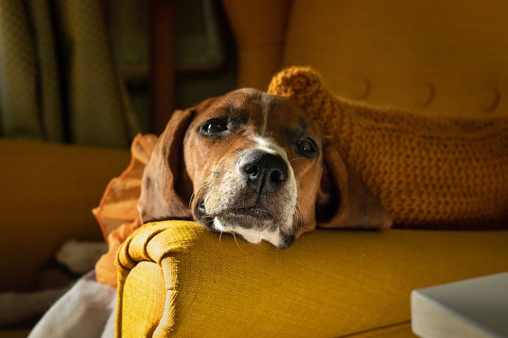 Photograph by Виктория Козинец