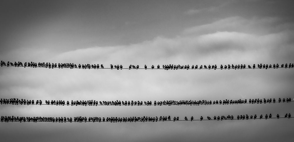 Photograph by Stoyo Stoev