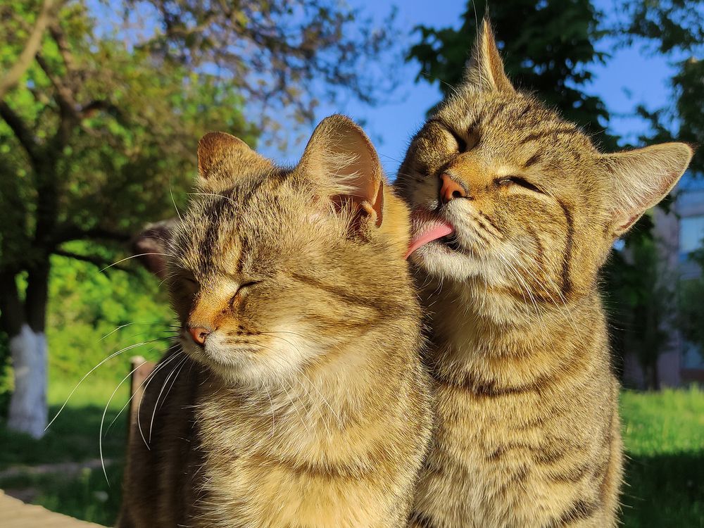 Photograph by Дина Горбачёва