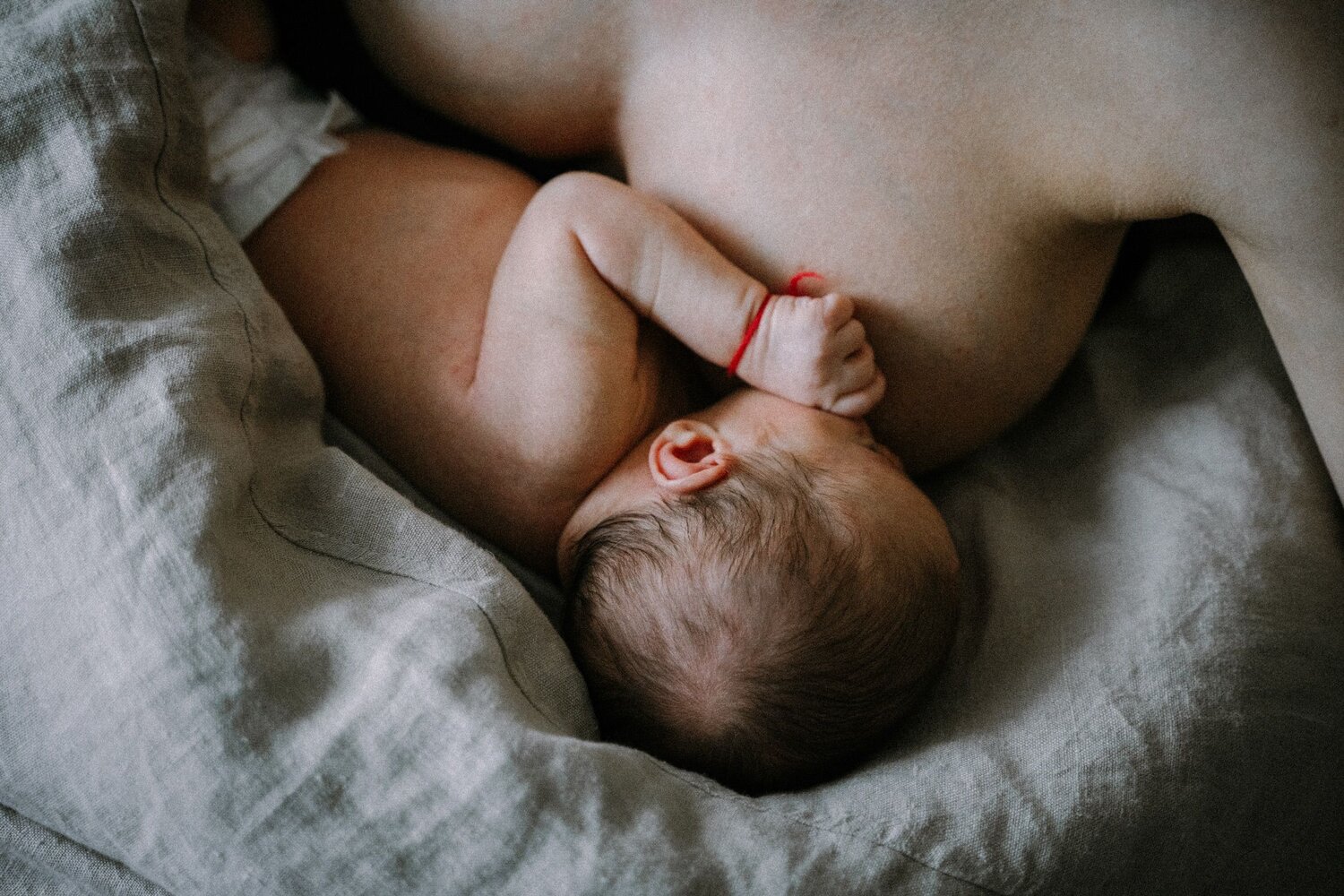 Photo #7556693