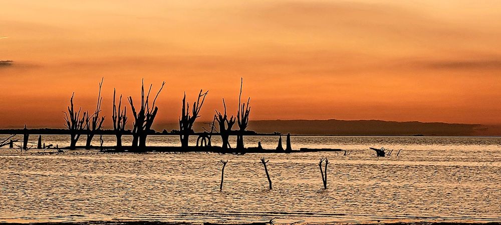 Photograph by Karina Elena Bergagna