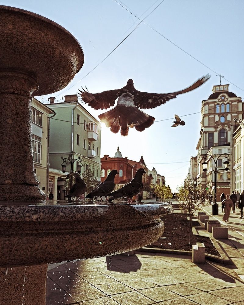 Photograph by Elena Bogomolova